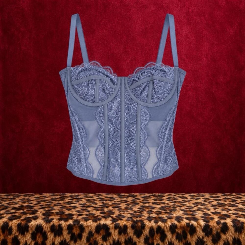 Dusty Blue Lace Corset Bustier Top Sheer Mesh Y2K Romantic